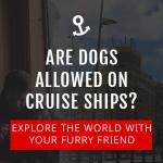 Are Dogs Allowed On Cruise Ships?