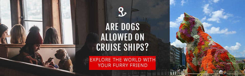 Are Dogs Allowed On Cruise Ships?