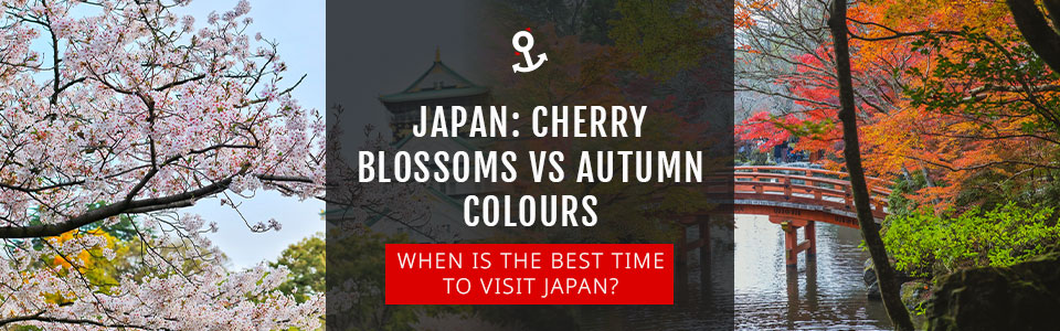 Japan: Cherry Blossom VS Autumn Colours