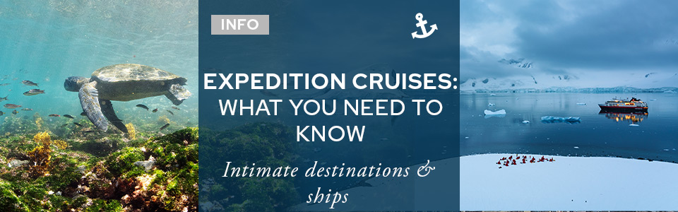 Expedition Cruises: What You Need To Know
