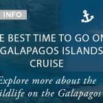 The Best Time to go on a Galapagos Islands Cruise