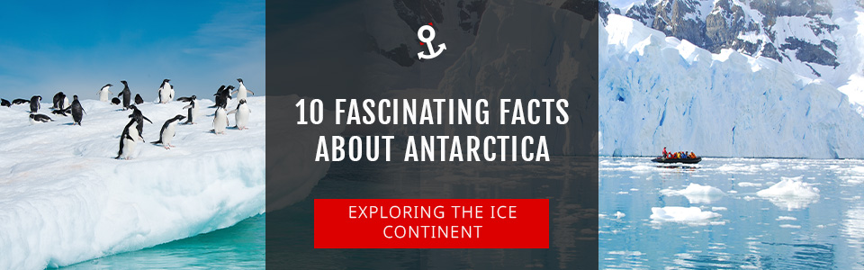 Exploring Antarctica: 10 Fascinating Facts to Know