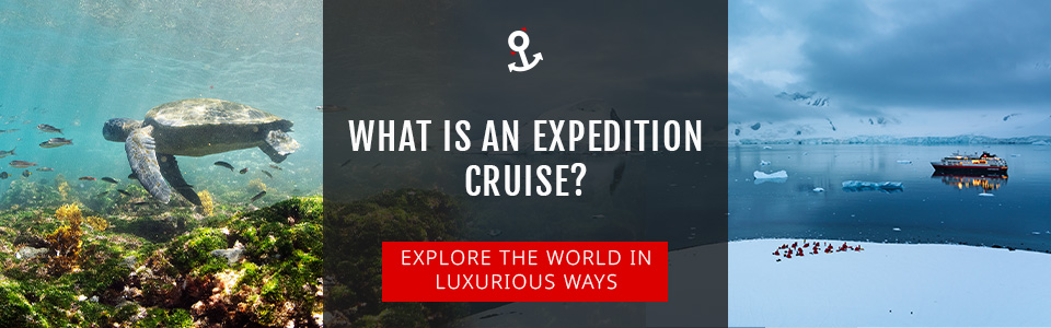 What Is An Expedition Cruise?